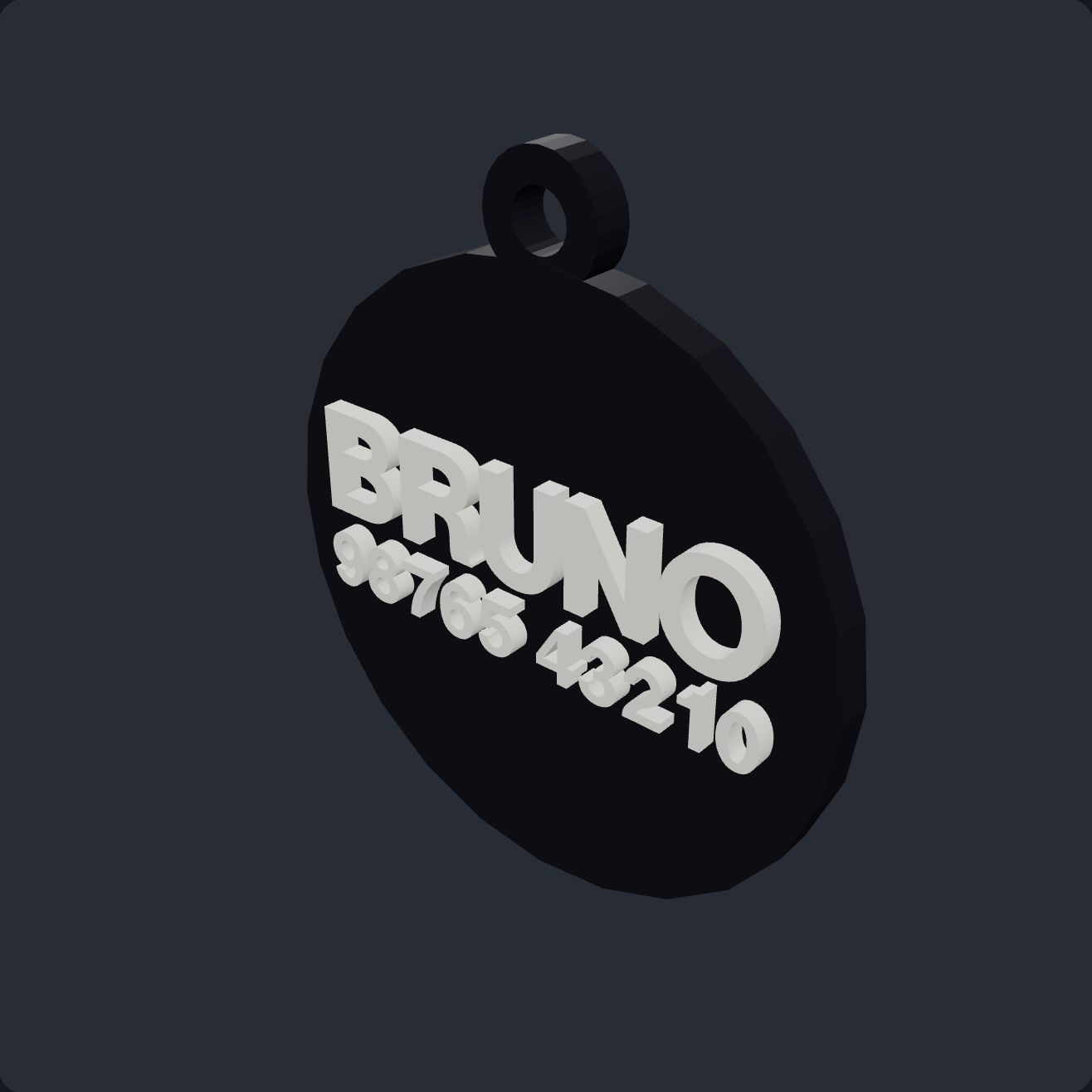 Custom Pet Tag